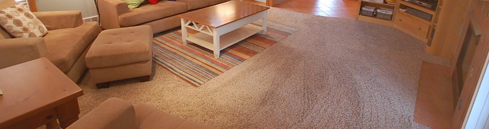 Carpet Cleaning Services