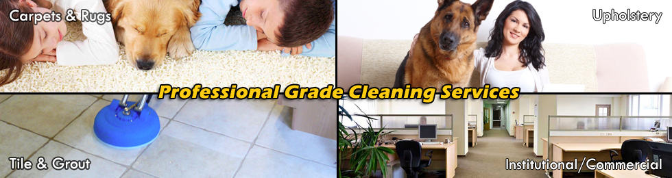 Professional Carpet Cleaning Rochester NY